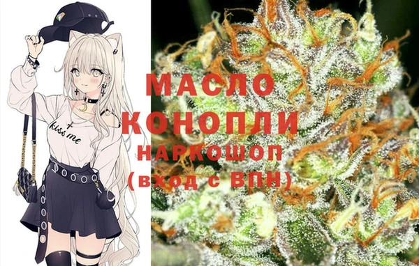 крисы Наволоки