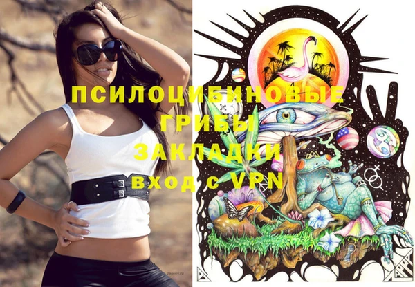 крисы Наволоки