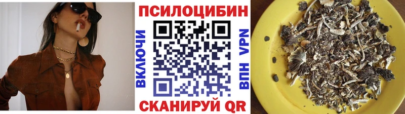 Псилоцибиновые грибы мицелий  Закаменск 