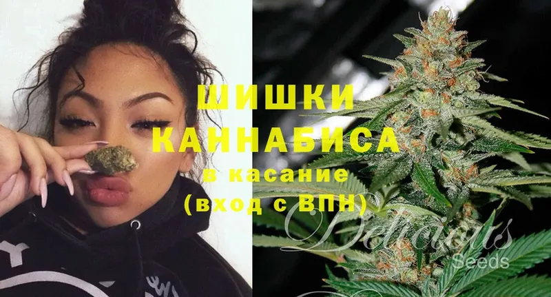 магазин продажи   Закаменск  Конопля White Widow 